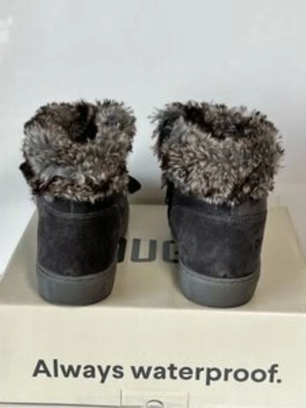 Cougar rounded toe